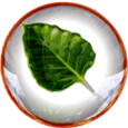 :bodhilinux: