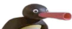 :pingu: