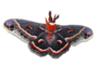 :moth_black_red: