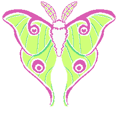 :moth_bright:
