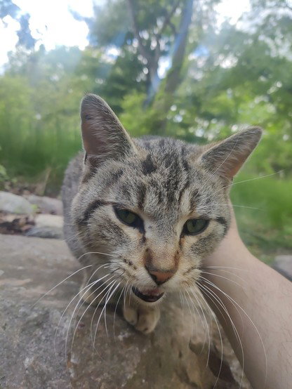 Posted media