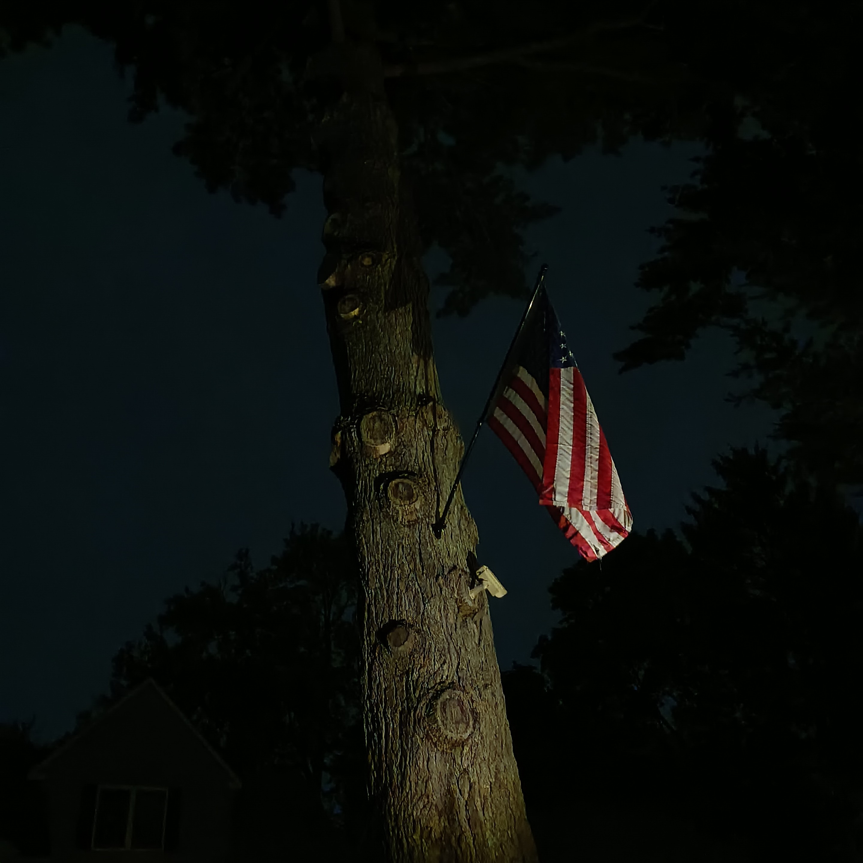 tree stretches into dark night sky with its branches removed. one American flag juts out right above a security camera