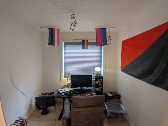 Several pride flags hang from the ceiling above a workspace. Books are visible on the left, a desk with a computer sits in the center, an ethernet cable runs to the left, a window is in the background behind the desktop, and an anarchist flag is displayed on the right wall.