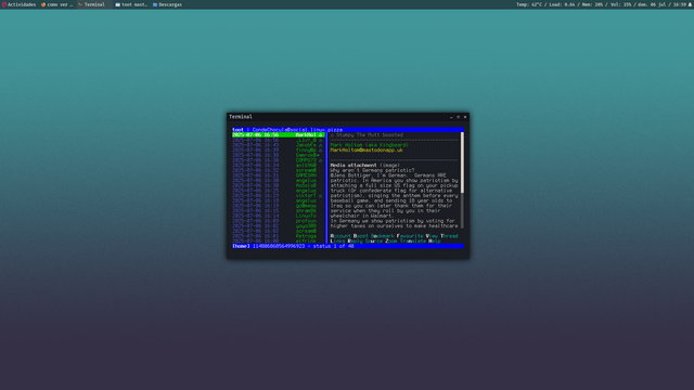 A screenshot showing the cli program toot.