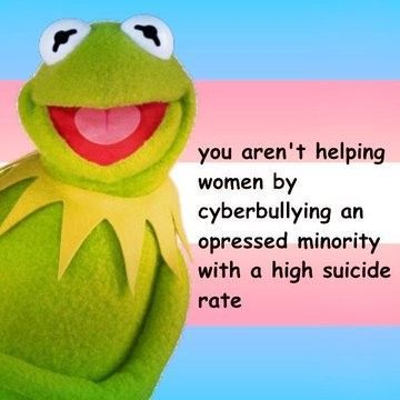 Kermit the Frog smiles against a background of the transgender flag. Text says, “you aren't helping women by cyberbullying an oppressed minority with a high suicide rate.”