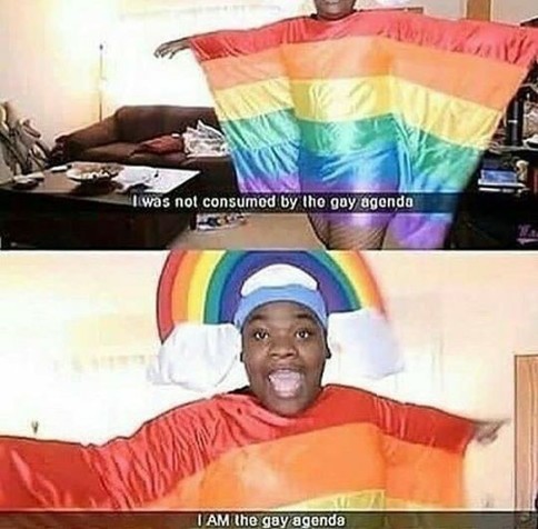 A person joyfully wearing a rainbow flag costume. Top text: "I was not consumed by the gay agenda." Bottom text: "I AM the gay agenda." The tone is humorous.