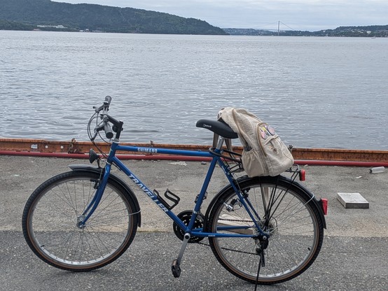 A blue bicycle with a beige backpack on its rear rack is parked on pavement beside a calm waterfront. Hills and a distant bridge are visible under a cloudy sky.