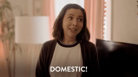 Woman with dark hair tilts her head, smirking, in a cozy room. White text reads "DOMESTIC! WIFE MATERIAL! MARRY ME! SOMEONE! ANYONE!" The tone is light-hearted and humorous.
