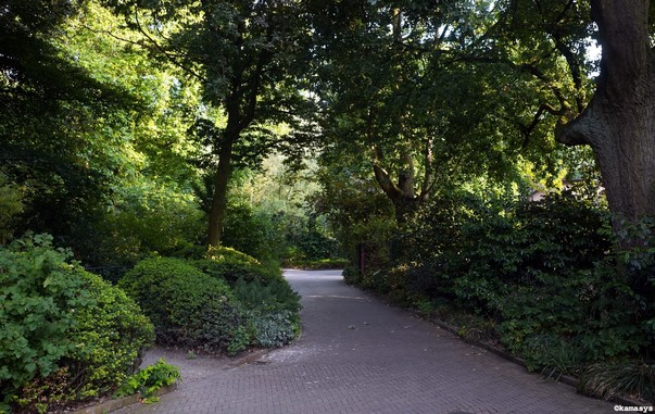 Amsterdam – Artis dierentuin // zoológico // zoo
