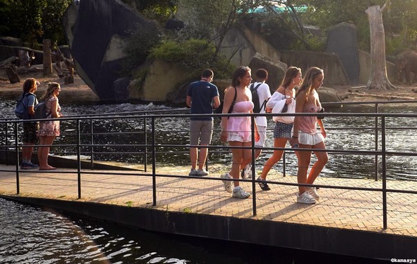 Amsterdam – Artis dierentuin, vrouwen // zoológico, mujeres // zoo, women
