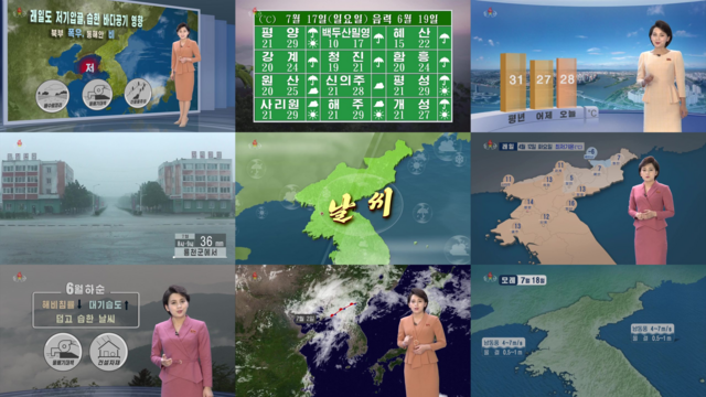 Collage of weather forecasts with a female presenter. Maps and data include temperatures, rain, and wind. Tone is informative and professional.
