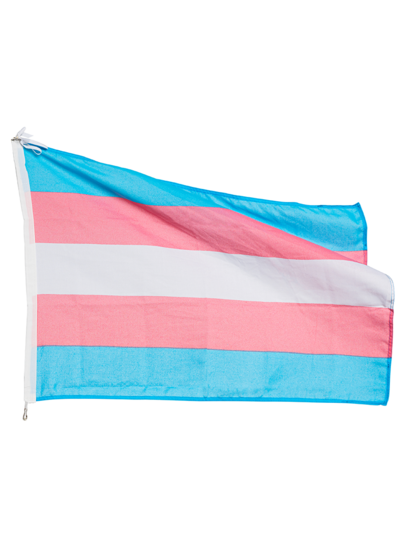 Transgender pride flag with horizontal stripes: two light blue, two pink, and one central white stripe. The flag appears vibrant and gently waving.