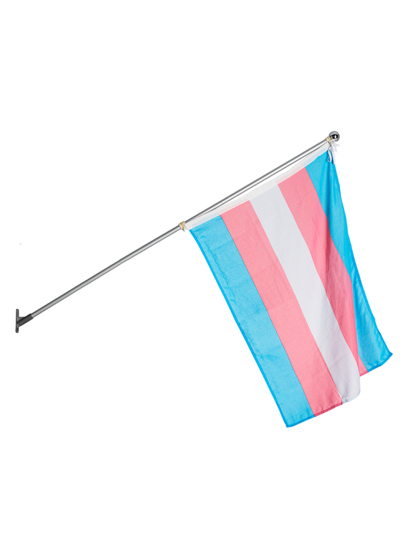 Transgender Pride flag with horizontal stripes in pink, white, and blue, attached to a silver pole on a white background, symbolizing inclusivity and identity.