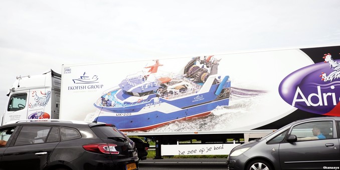 Rijsenhout – A4 - De zee op je bord // El mar en tu plato // The sea on your plate