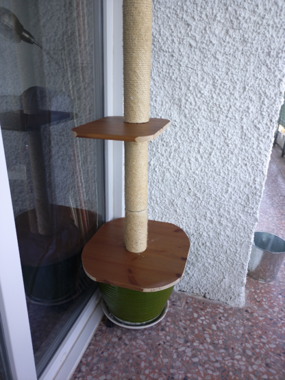 Sobre una maceta veerde hay dos plataformas de madera y un palo rascador para gatos
