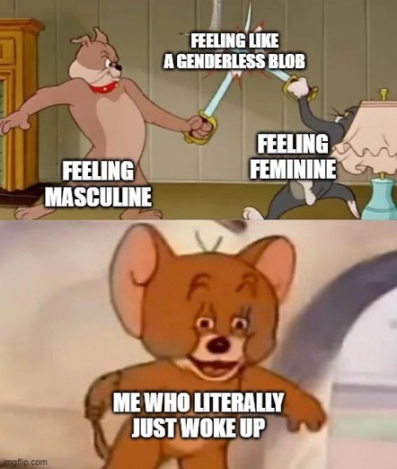 Meme with two panels from a classic cartoon. Top: Three characters labeled "Feeling Masculine," "Feeling Feminine," and "Feeling Like a Genderless Blob." Bottom: Confused character labeled "Me who literally just woke up."
