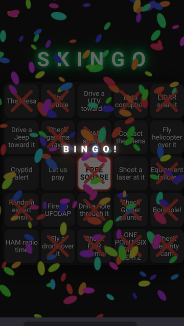 A winning Skingo card