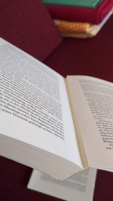 Dasselbe Buch aufgeschlagen mit der sichtbaren Lücke, die die Seiten hinterlassen haben