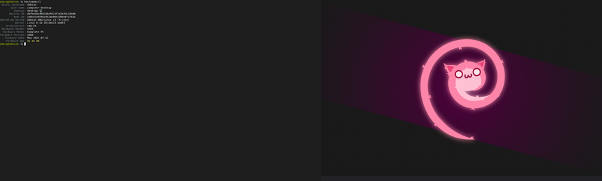 Terminal showing Debian system information on the left, and a pink, glowing swirl with a cat face in the center on a dark background on the right.