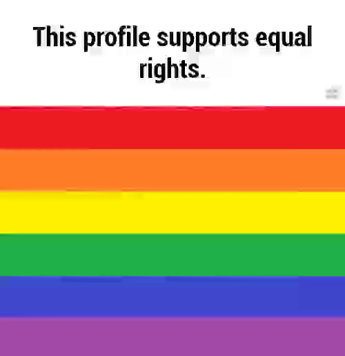 Text "This profile supports equal rights" above a gif sliding between a bunch of pride flags with horizontal stripes.