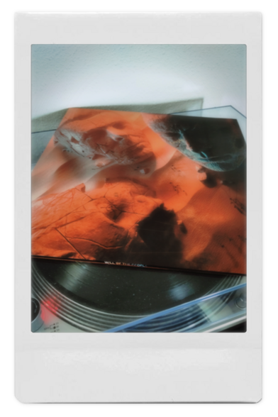 LP playing: Muse - Will of the people
