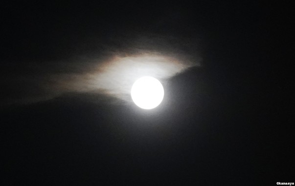 Amsterdam - Rivierenbuurt - volle maan // luna llena // full moon