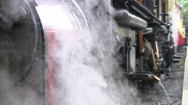 a maroon narrow gauge steam loco. view from cylinder at cylinder height towards the back. cream and red carriages are very blurred.