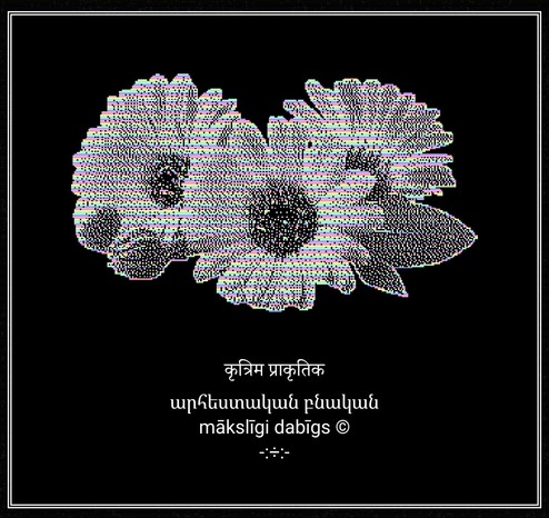 sunflowers and language