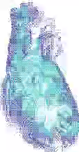 beating blue heart