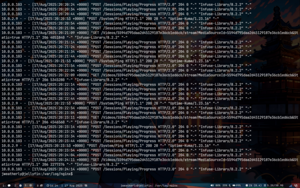 Nginx logs showing connections to Jellyfin being proxied using `http/2`.