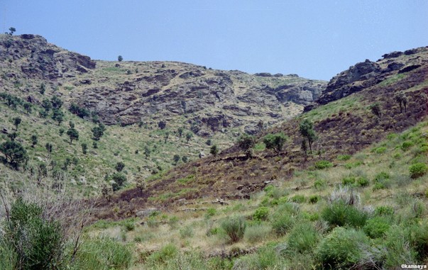 Costa Brava – Parc Natural del Cap de Creus - espai protegit