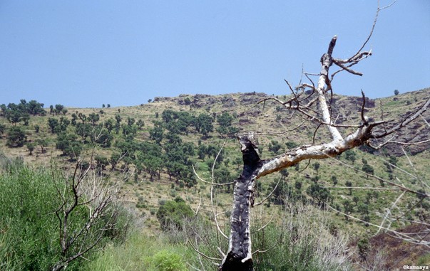 Costa Brava – Parc Natural del Cap de Creus - espai protegit