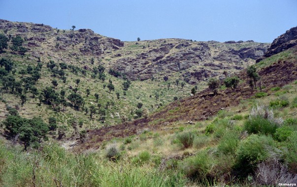 Costa Brava – Parc Natural del Cap de Creus - espai protegit