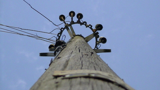 looking upwards at a telegraph pole. a ring of insulators, some disused.