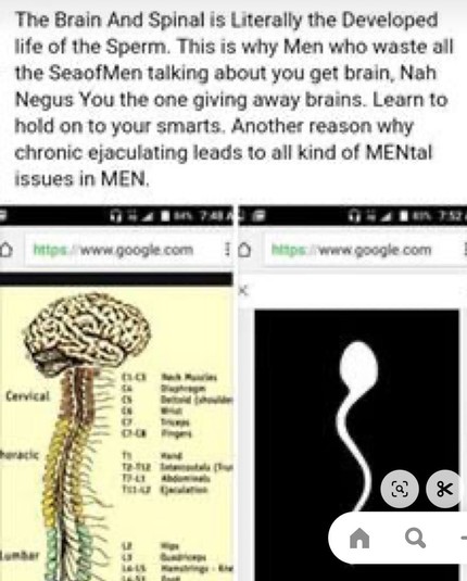 The Brain And Spinal is Literally the Developed life of the Sperm. This is why Men who waste all the SeaofMen talking about you get brain, Nah Negus You the one giving away brains. Learn to hold on to your smarts. Another reason why chronic ejaculating leads to all kind of MENtal issues in MEN.