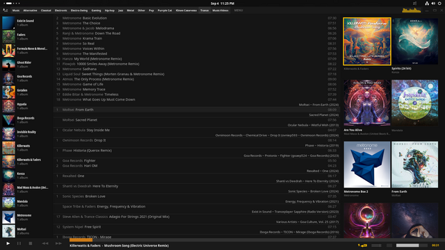 Music player interface showing an album list on the left, track details in the center, and album cover art on the right. 