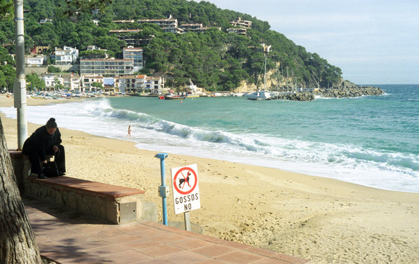 Costa Brava - Llafranc Platja - gossos no