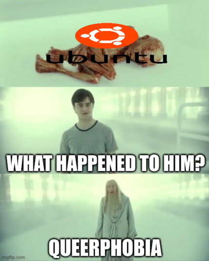 Meme with three panels from a popular fantasy movie. Top: a skeletal figure labeled "Ubuntu." Middle: young man asks "What happened to him?" Bottom: white-haired figure responds with "Queerphobia."