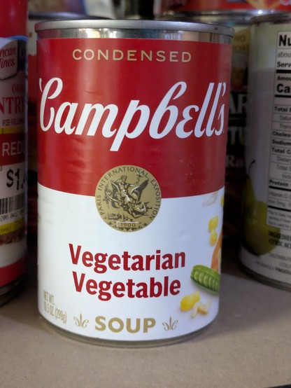 Vegetarian vegetable soup