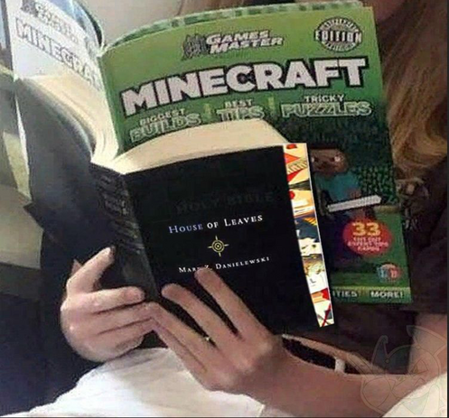 house of leaves covered by Minecraft mag