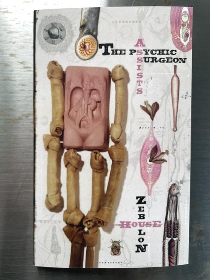 cover of The Psychic Surgeon Assists by Zebulon House, beautiful mock anatomy 