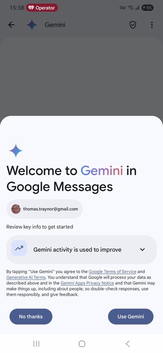 Gemini nagging message.