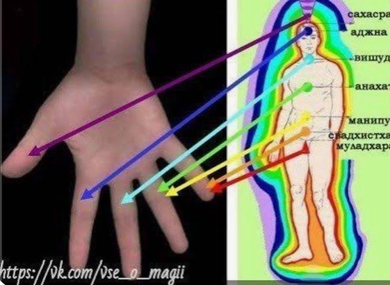 fingies
