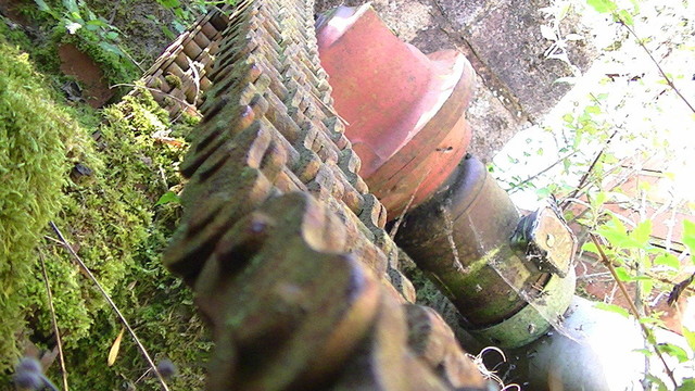 a fat rusty drive chain from a rusty ceased up electric motor. bottom half of chain covered in moss