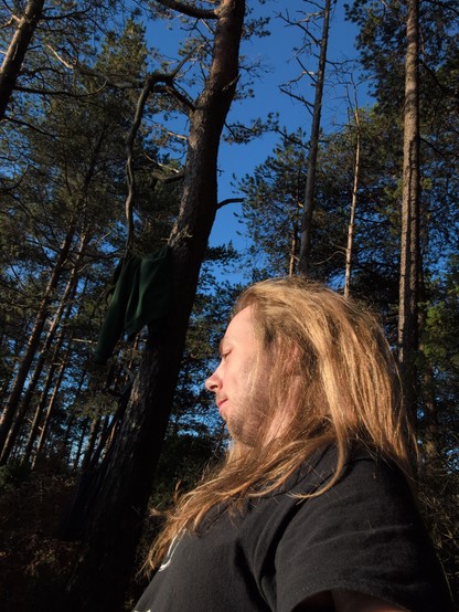 A person with long hair sits in a sunlit forest, wearing a black shirt. A green hoodie hangs on a tree branch. Sky is clear and blue.