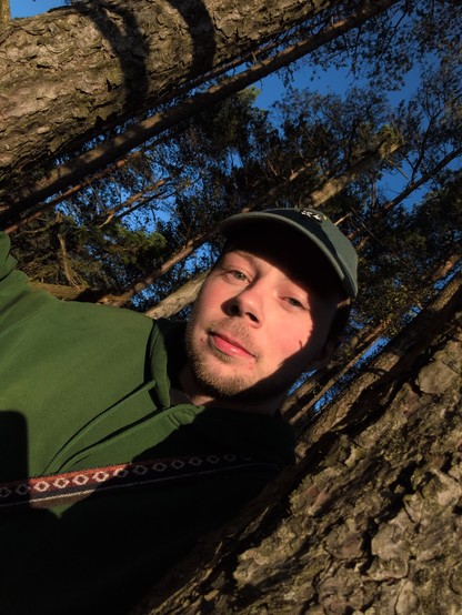 A person in a green hoodie and cap stands between trees under clear blue skies. The sunlight creates contrasting shadows, evoking a tranquil outdoor setting.