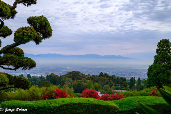 View from the top of the Palos Verdes peninsula across green trees and red bougainvillea in the foreground, across a foggy LA basin, with the blue San Gabriel mountains in the background.  The sky is cloudy.  