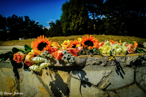 Photo of a bouquet of  sunflowers and other colorful flowers, spread out on a stone bench.  Trees and brown grass are in the background.
