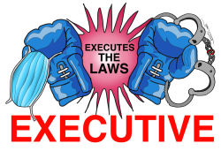 executive executes the laws