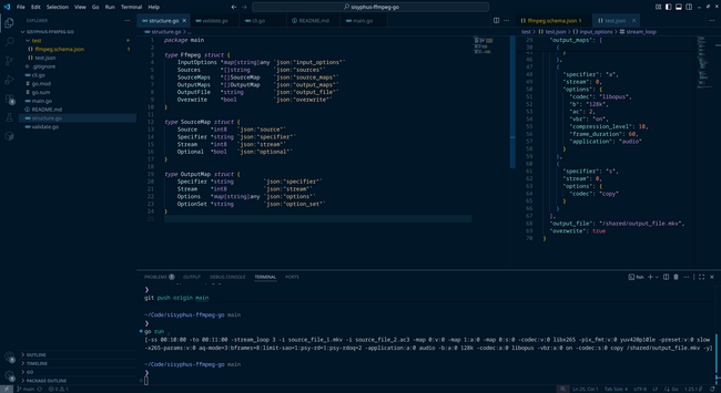 A screenshot of the test JSON and the JSON structures written in Go.